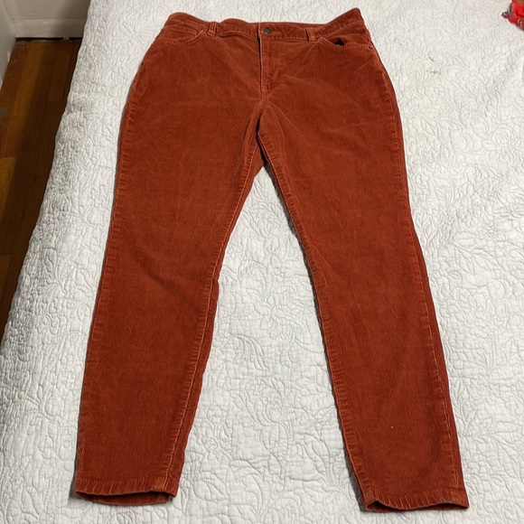 Patagonia Rust Corduroy Pants - Picture 1 of 9